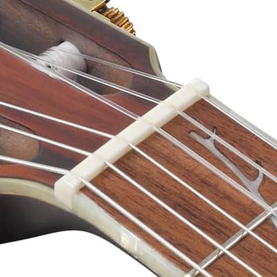 Ibanez TOD10N TKF Transparent Black Flat image 12