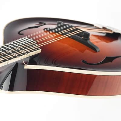 Bulas A-Style Artemis Mandolin image 10