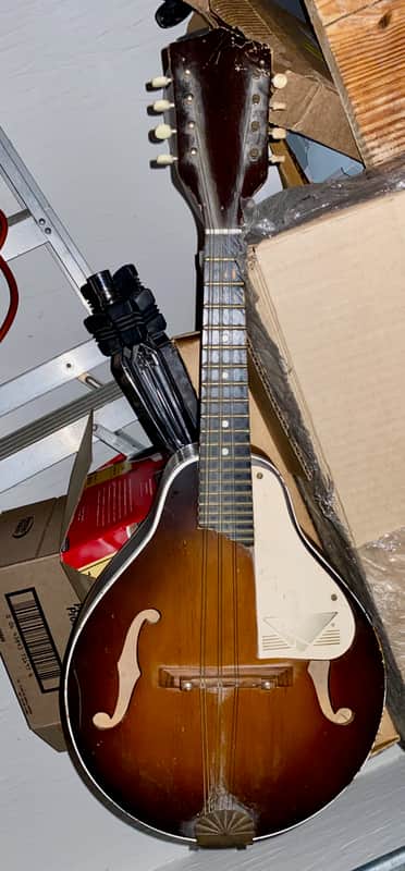 1950's Kay A Style Mandolin image 1