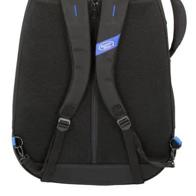 Reunion Blues Expedition Semi-Hollow Electric Guitar Case image 8