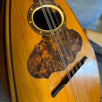 Unknown Bowlback Mandolin (needs nut) image 12