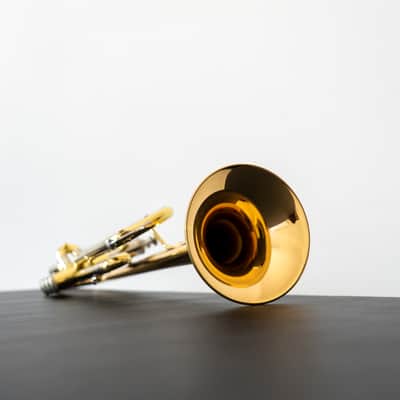 Yamaha YTR-8335IIRG Xeno Bb Trumpet with Reverse Leadpipe and Gold Brass Bell (SN 5768xx) image 13