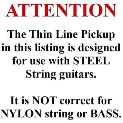 Takamine G Series CP-100 Pickup Assembly with SHIM SET / TGP0897 image 2