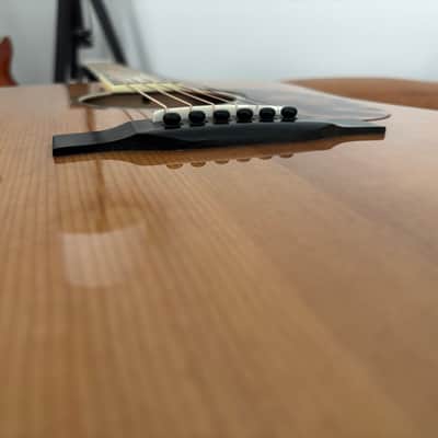 Eastman E20D-TC LSH Plek’d 2026 Build - Mint image 21