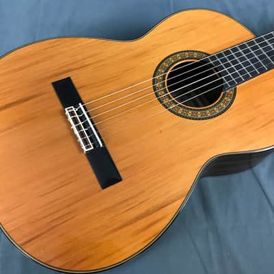 Morris　TornadoZIIII Morris TornadoZIIII Electric Acoustic Guitar Tornado by Morris ZII