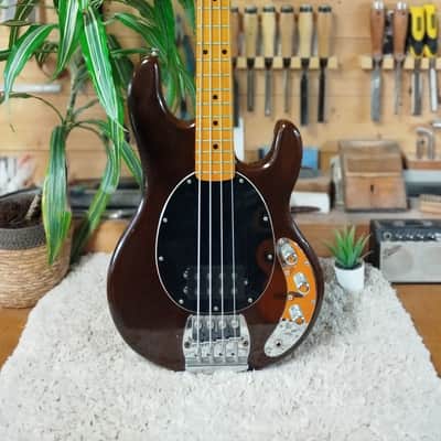 Music Man StingRay Walnut - 1979 image 1