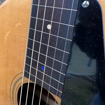 Very Rare Vega Acoustic Hawaiian Steel Guitar Fretless 1938 - Natural image 6
