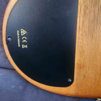Ibanez SR1405E Premium Soundgear w/case nordstrand pickups 5 string bass image 9