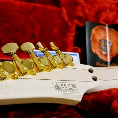 2025 Ibanez Pia Onyx Black 8 months old Steve Vai Signature image 12