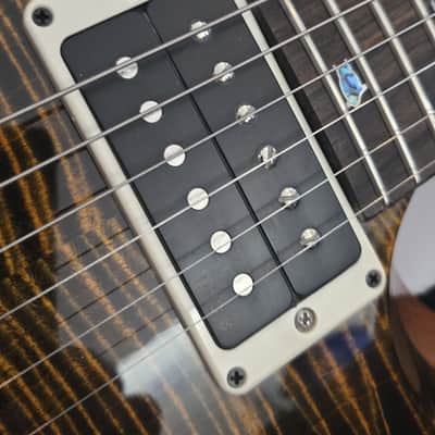 PRS Paul Reed Smith 40th Anniversary Custom 24 - Tiger Eye 2024 - Tiger Eye image 5