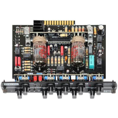 Synergy Friedman BE-DLX Preamp Module image 3
