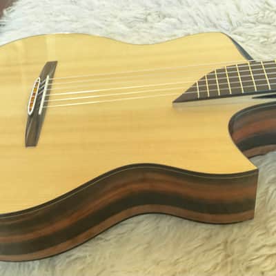 Turkowiak guitars image 10