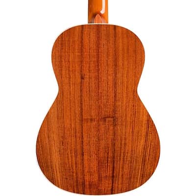 Cordoba Esteso SP Spruce Top Luthier Select Acoustic Classical Guitar image 17