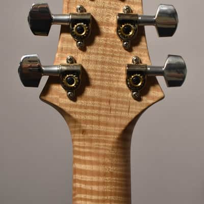 2017 PRS Custom 24 Autumn Burst Electric w/OHSC image 6