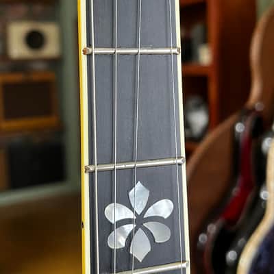 “Ty Piper” Imperial Shenandoah 5-String Resonator Banjo Walnut | Keith Banjo Tuners | Five-Star Planetary Tuners | Whitman MiniTuner | Superior Hardshell Case image 8