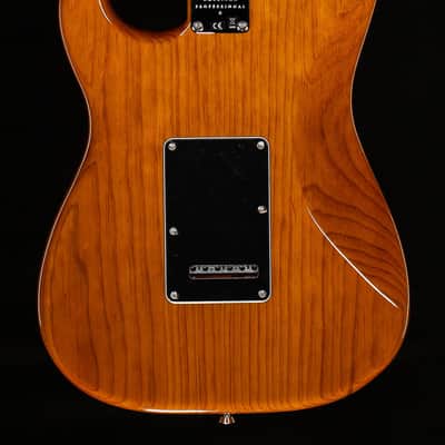 Fender American Professional II Stratocaster Roasted Pine Rosewood Fingerboard (223) image 4