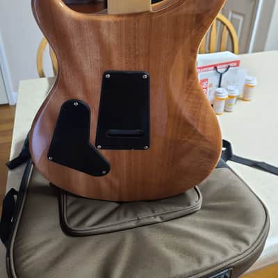 PRS custom 24 SE - Faded Blue & EXTRAS image 6