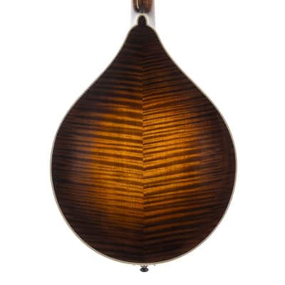 Used Northfield NFMSP-A4 Mandolin Sunburst 2023 image 2