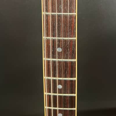 Immagine Fender D'Aquisto Standard 1984 - 1987 - Black - 3