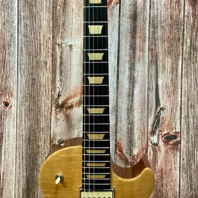 Gibson Les Paul 2008 Push-Tone —  Guitar of the Month w/HSC and All Pickup Sets image 3