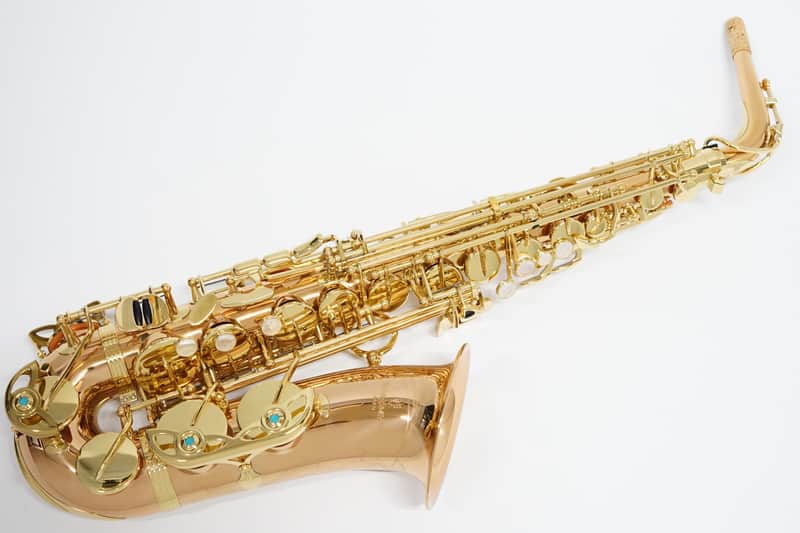 Yanagisawa A-WO2 [AWO2] Professional Alto Saxophone image 1