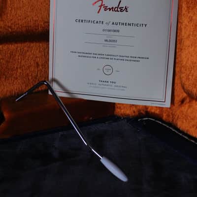Fender Michael Landau "Coma" Stratocaster image 11