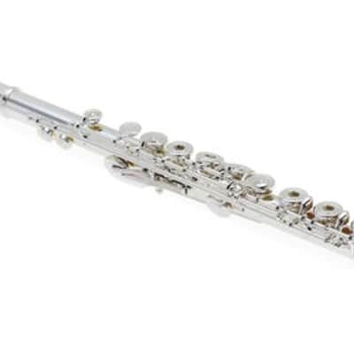 Wm. S. Haynes AF580SE-CO Amadeus Intermediate Flute with Offset G Key  C Footjoint  and Split E Mechanism image 2