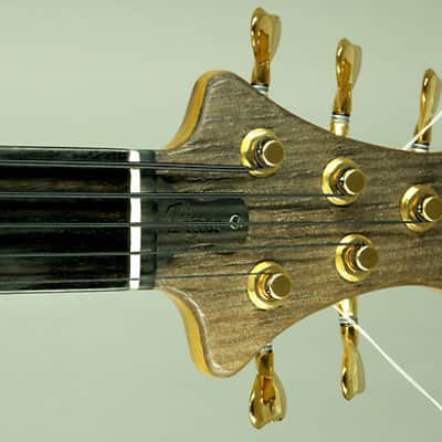 Ritter Royal "The Stone Age Roya" 5 string Fretless Bass image 6