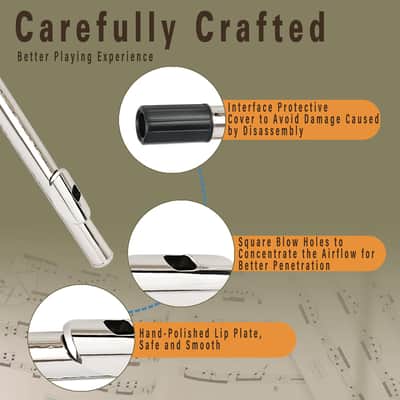 Closed Hole C Flute 16 Keys Nickel-Plated Flutes For Beginners Student Flute Instrument With Case Stand Gloves Tuning Rod (Silver) image 3
