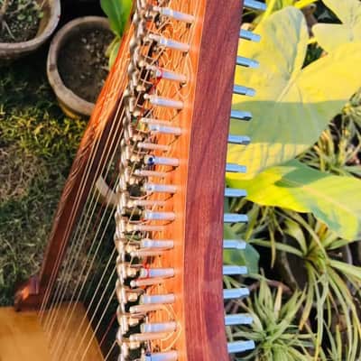 22-String Solid Rosewood Harp with Extra Strings & Padded Carrying Case - Perfect for Beginners image 3