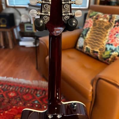 Yanuziello Electric Mandolin image 6