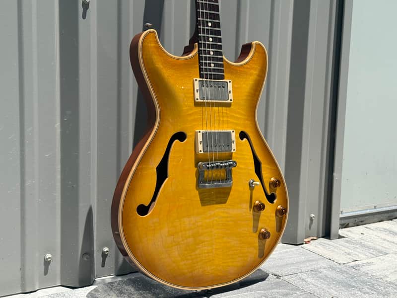 Knaggs Sheyenne @AIFG image 1
