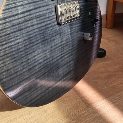 Immagine PRS PRS SE Custom 24 Limited Run Maple Fingerboard 2017 Grey - 6