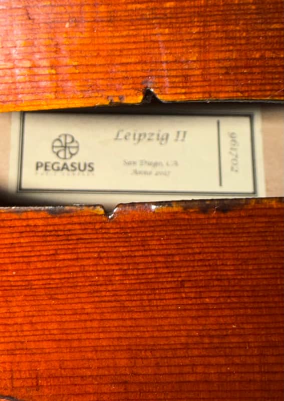 Pegasus Leipzig II 2017 image 1