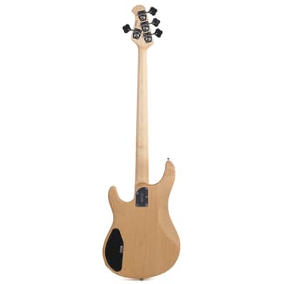 Sterling Joe Dart Owned by Miguel Briseño of Lord Huron image 6