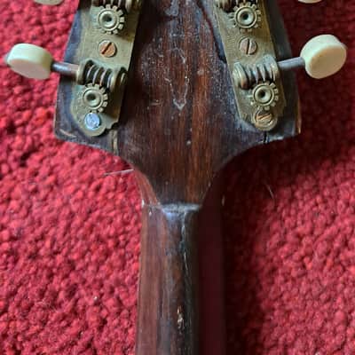 CATANIA SILVESTRI Sicilian concert mandolin with modern fretboard  1900s image 10