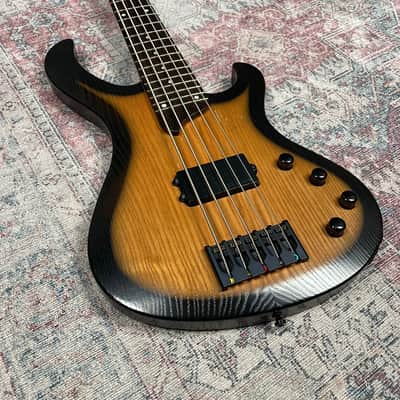 Esh Various 5 String Bass Guitar - Made in Germany w/ Piezo image 9