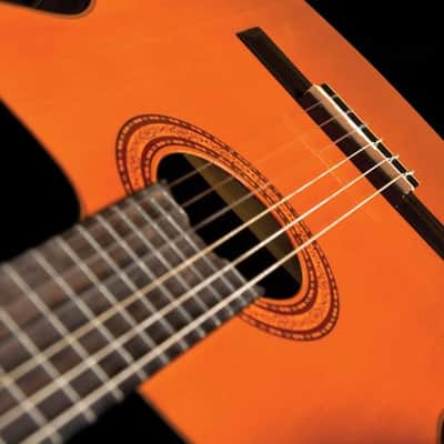 Washburn C5CE-A Classical Series Cutaway Acoustic Electric Guitar image 25