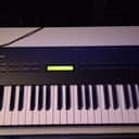 Roland U-20 61-Key RS-PCM Synthesizer 1989 - 1992 - Black