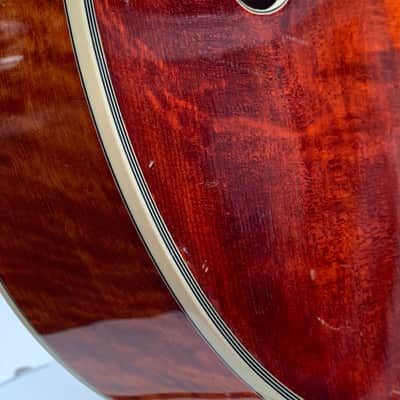 Eastman AR810CE – 2010 image 6
