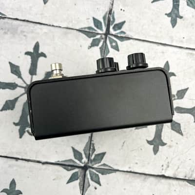 Strymon Iridium image 5