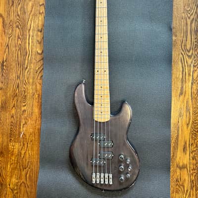 Alien Audio Constellation 5 String Bass image 3