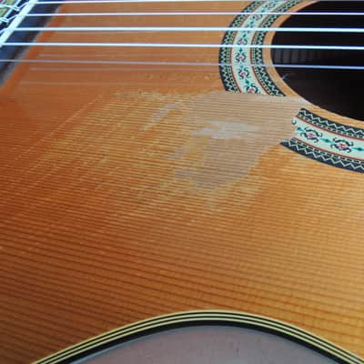 andalusia AG-6 G Guitare classique electro acoustique pan coupé Style Espagnole image 4