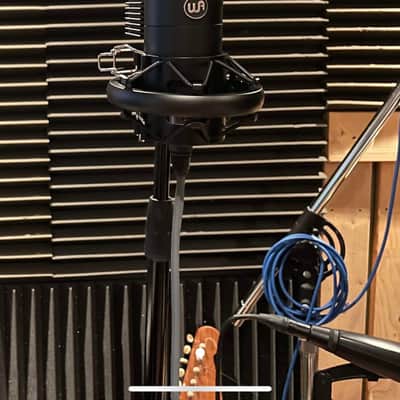 Warm Audio WA-8000 Large Diaphragm Tube Condenser Microphone 2021 - Present - Black image 2