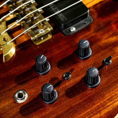 ALEMBIC MJLB5F Signature Standard 2010 image 7