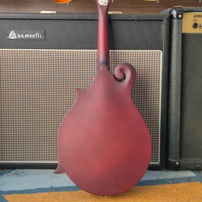 Epiphone F-5 Studio Mandolin 2025 - Wine Red Satin image 10