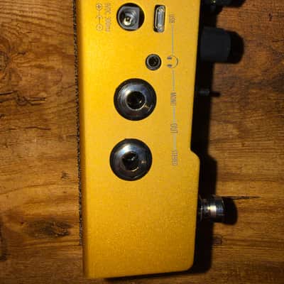 Walrus Audio Mako  ACS1 Amp + Cab Simulator 2021 - 2024 - Gold image 3