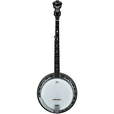 Ibanez BA250 USA 250th Anniversary Resonator Banjo - Eagle image 2
