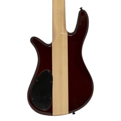 Spector NS-2000/5 Dan Briggs Signature Model 5-String Bass - Black/Walnut Stain image 5