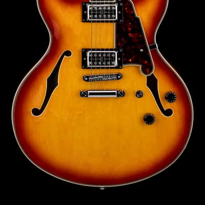 D'Angelico Premier DC XT - Ice Tea Burst #24275 (B-Stock) image 1